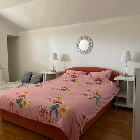 Villa Vila Bjelopoljak - Ponijeri *