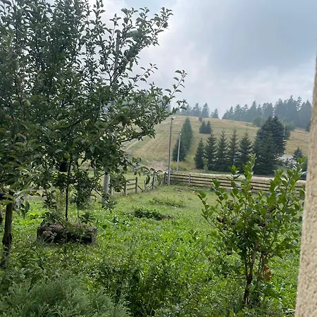 Bjelopoljak - Ponijeri فيلة