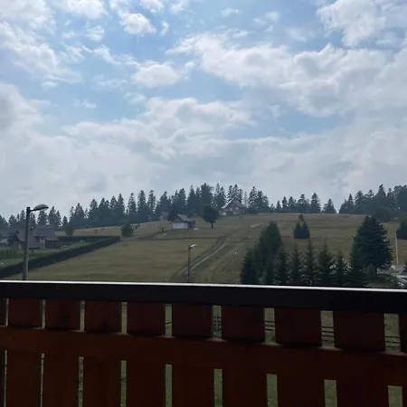 Bjelopoljak - Ponijeri